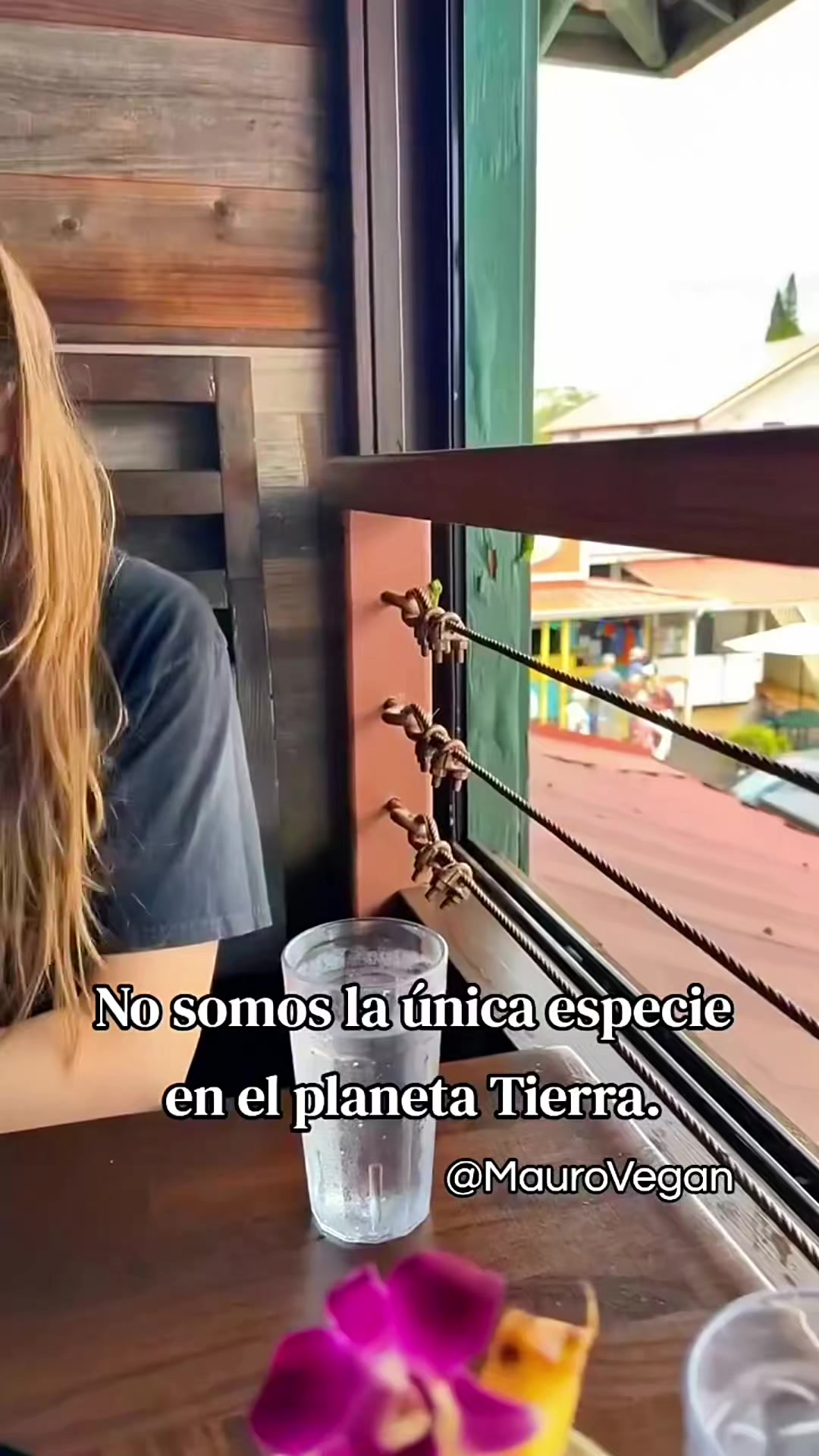 @Mauro Vegan๐