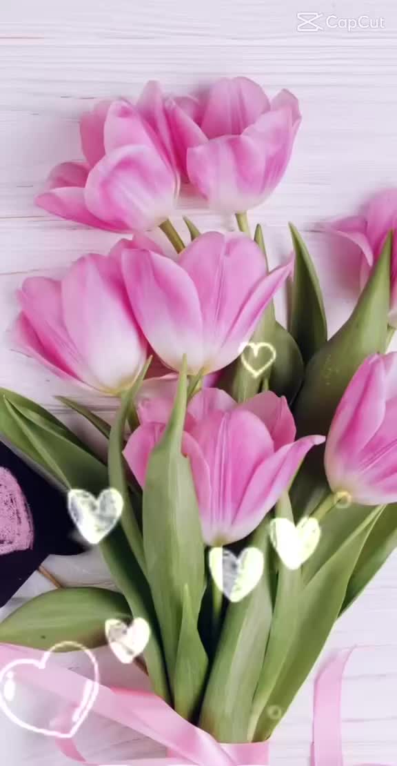 @Apc. 🙏 Dios es Amor❤️🌹