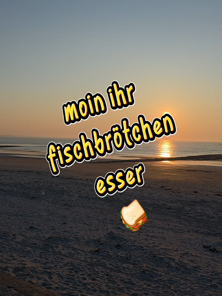 @ᗰOIᑎ🔆ostfriesin_unterwegs