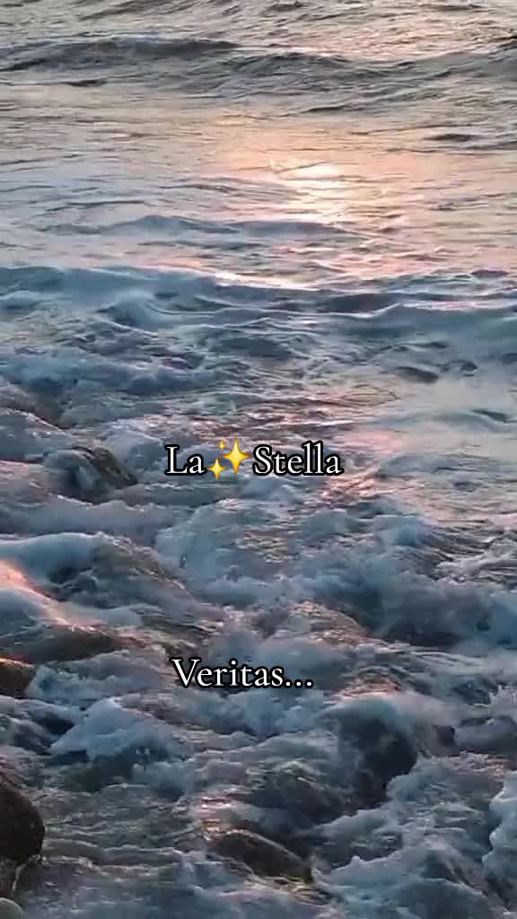 @Stella ✨