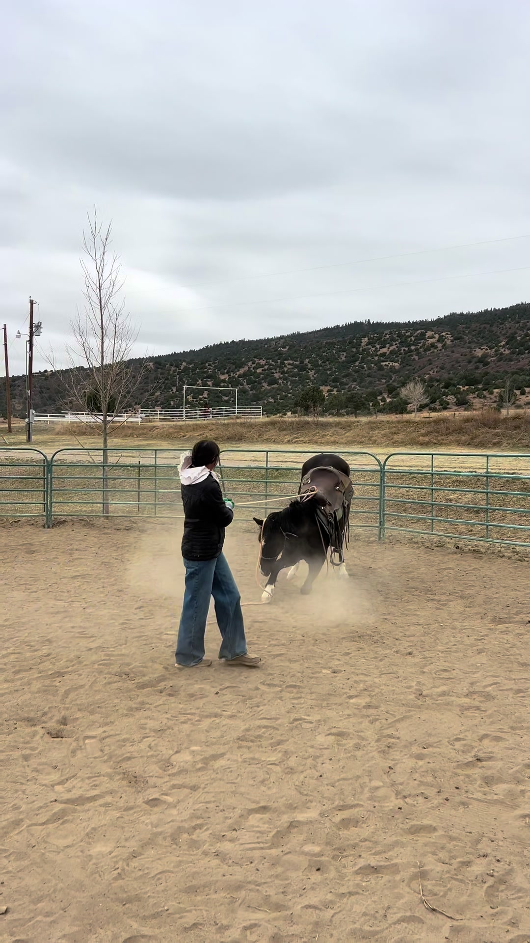 @cowgirlcommentary
