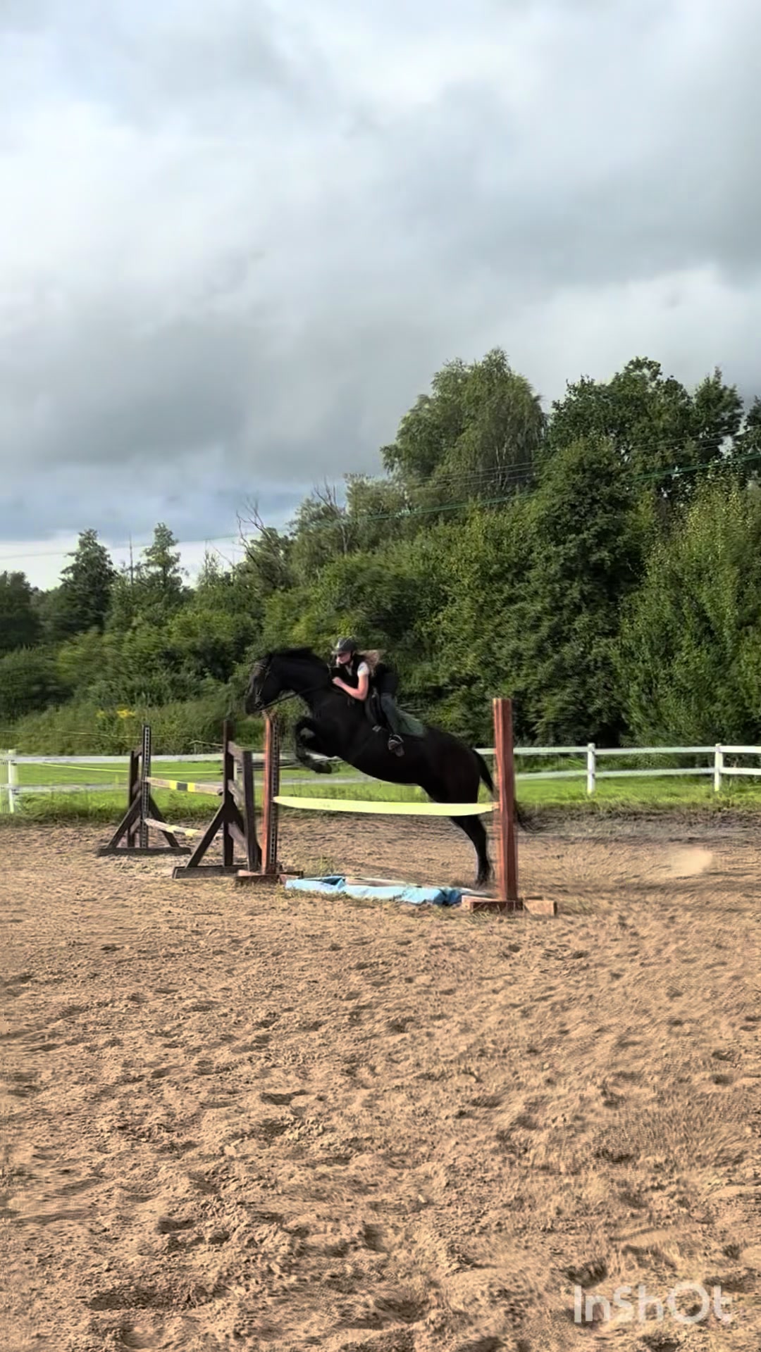 @💋🐴
