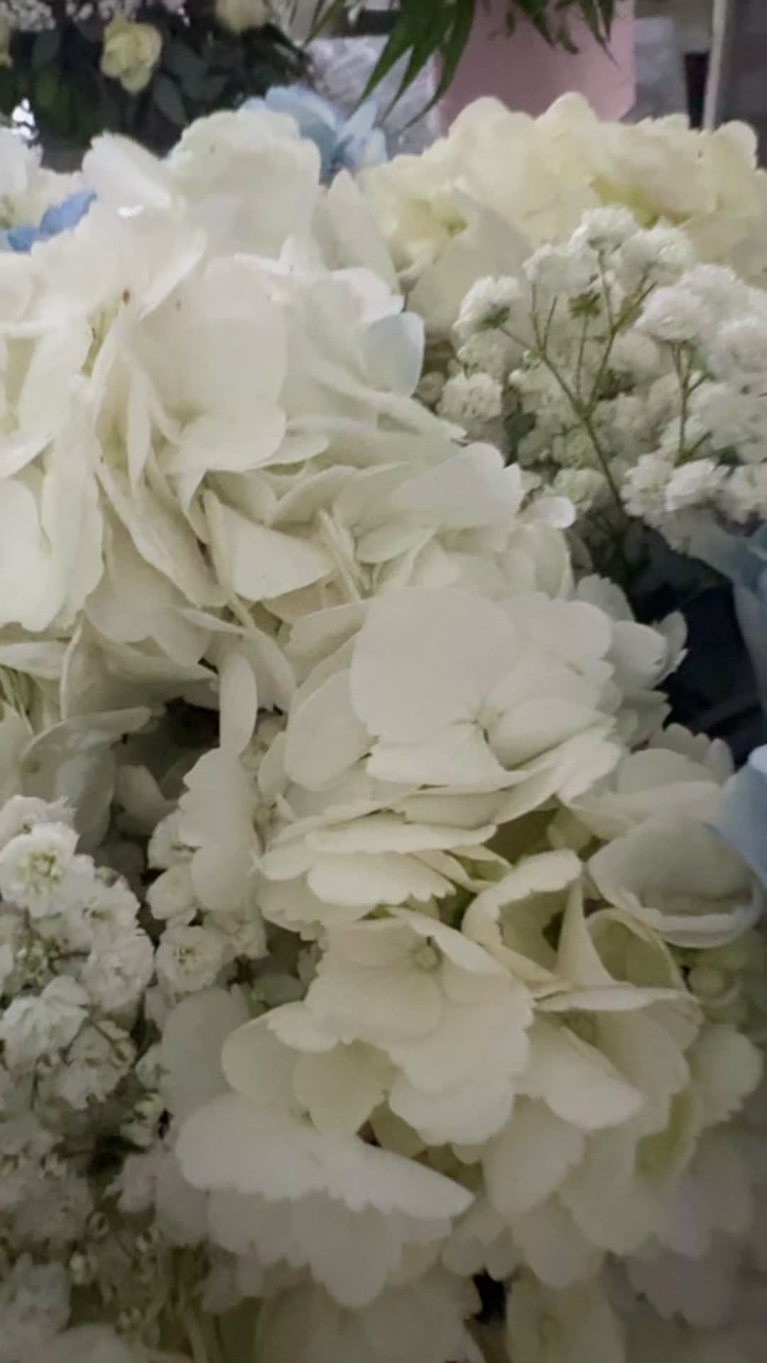 @marianabellotti.031