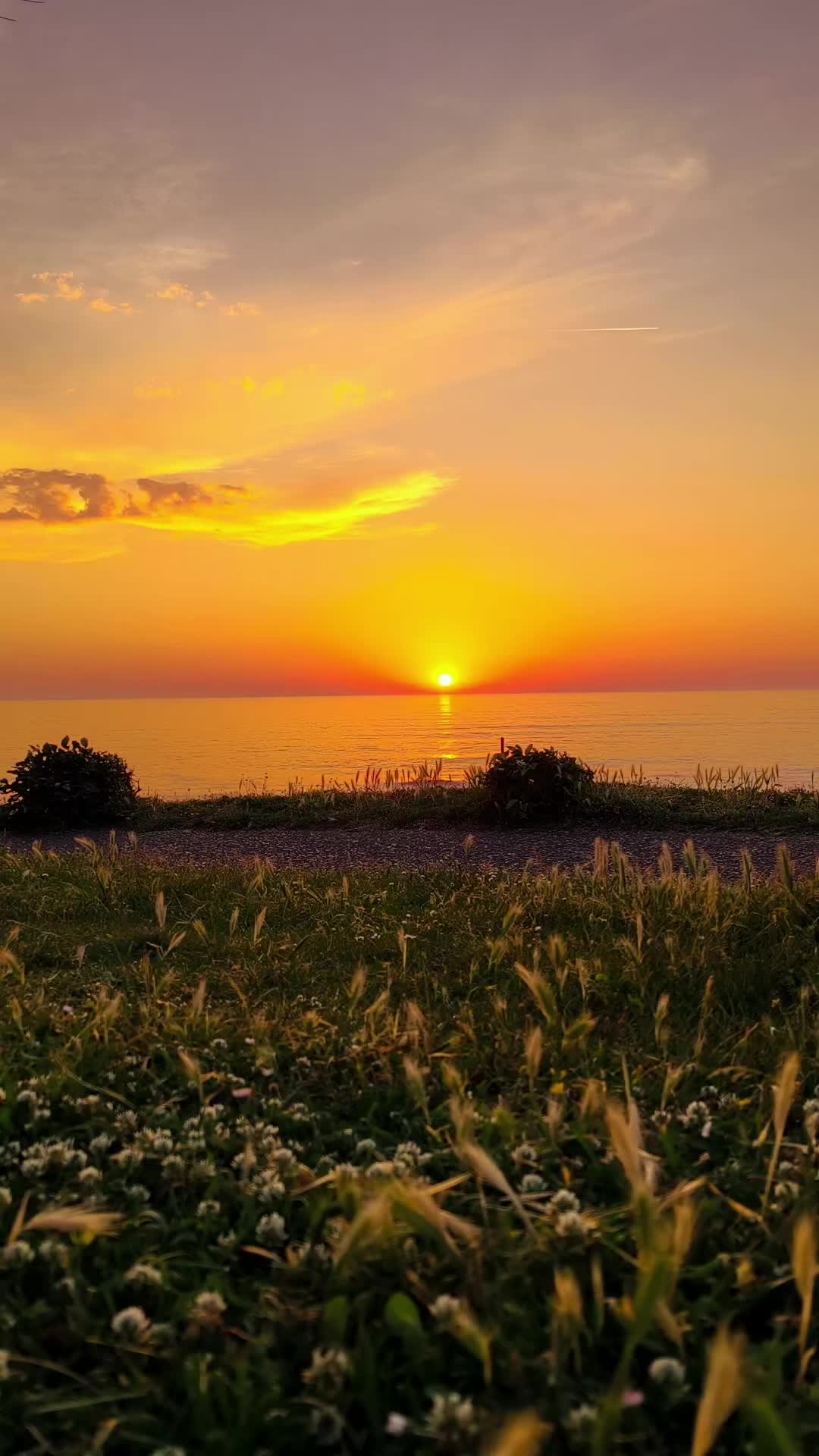 @Julie Zelda 🇫🇷