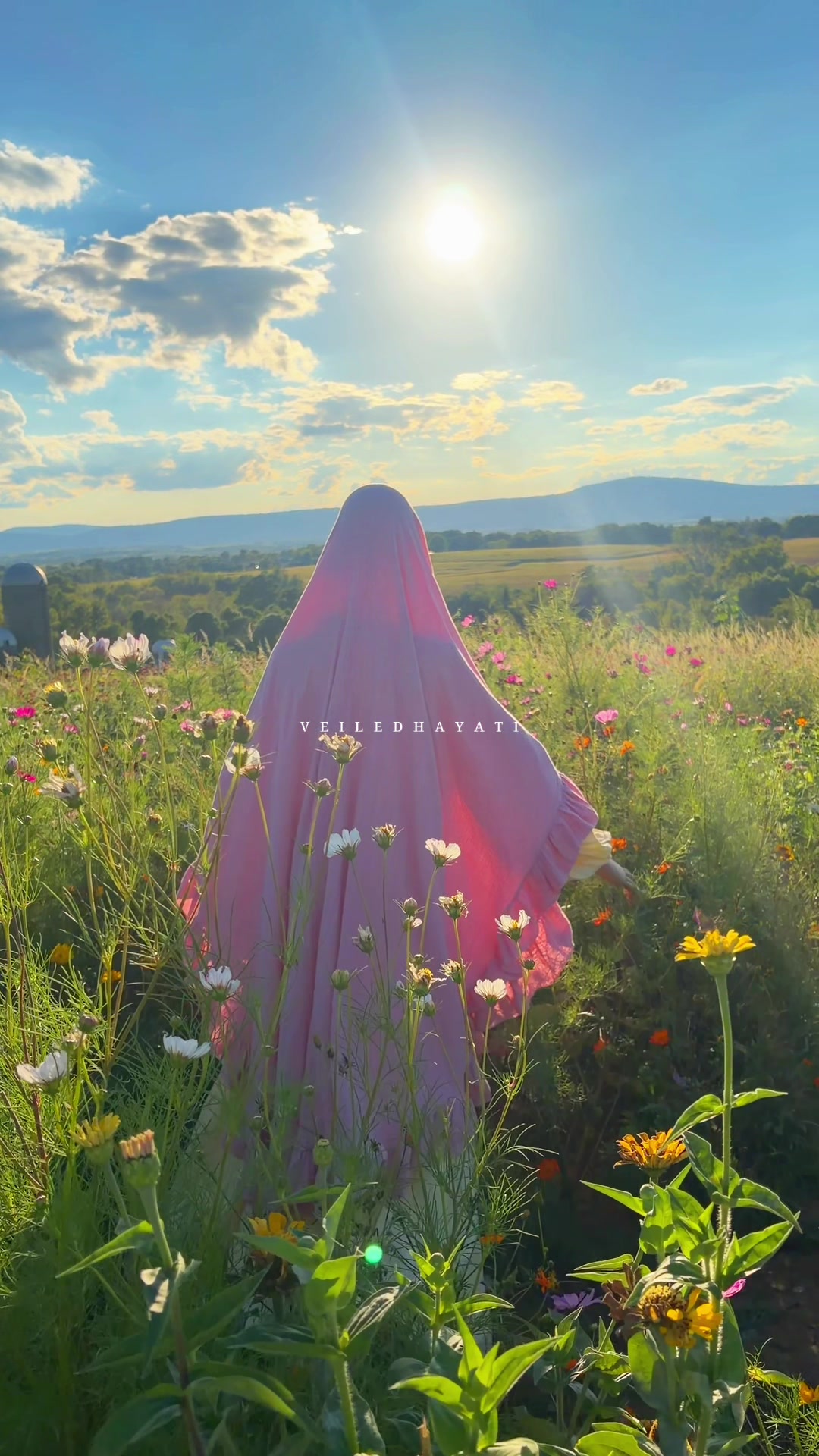 @𝒱𝑒𝒾𝓁𝑒𝒹 𝐻𝒶𝓎𝒶𝓉𝒾 &reg;