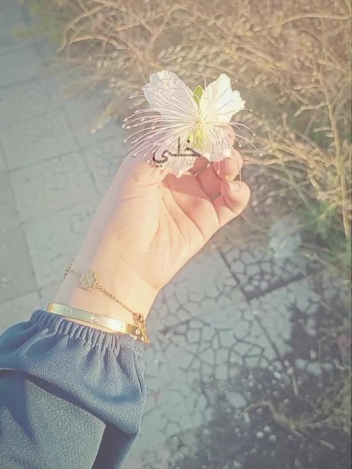 @بنبونه🦢