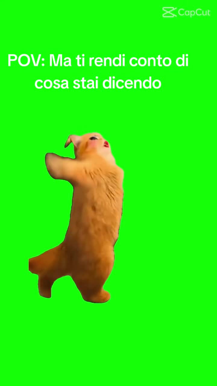 @lamù