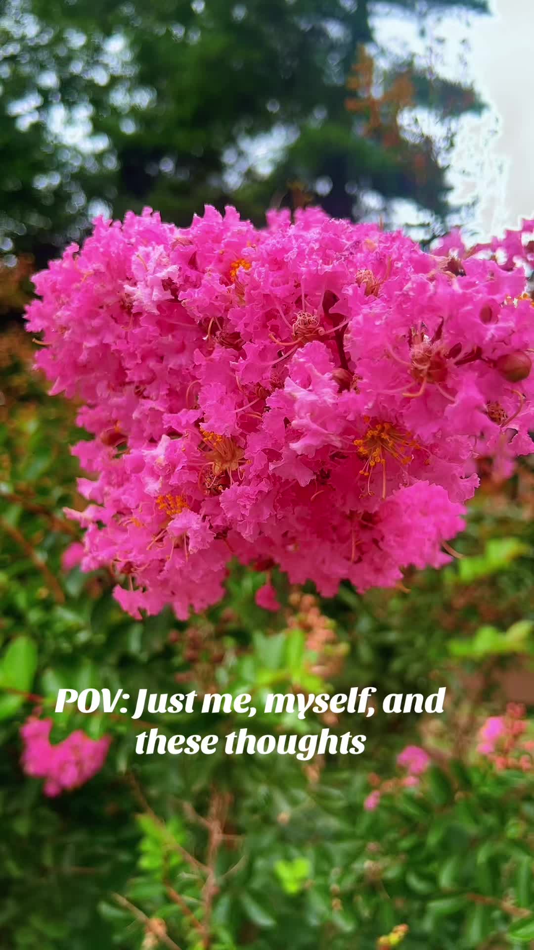 @😘😘🥀🇺🇸love_m0nu🇧🇩😘😘