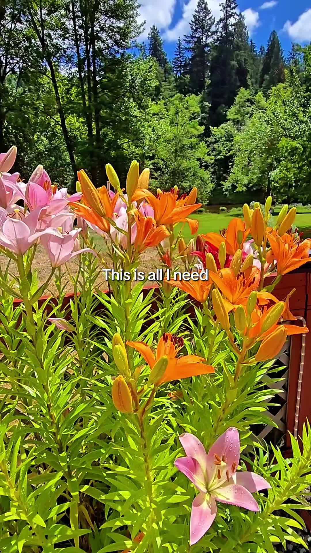 @Ali 🌸