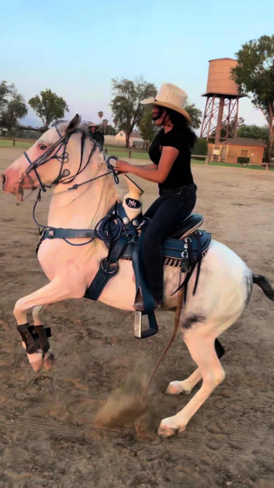 @anissadeacaballo