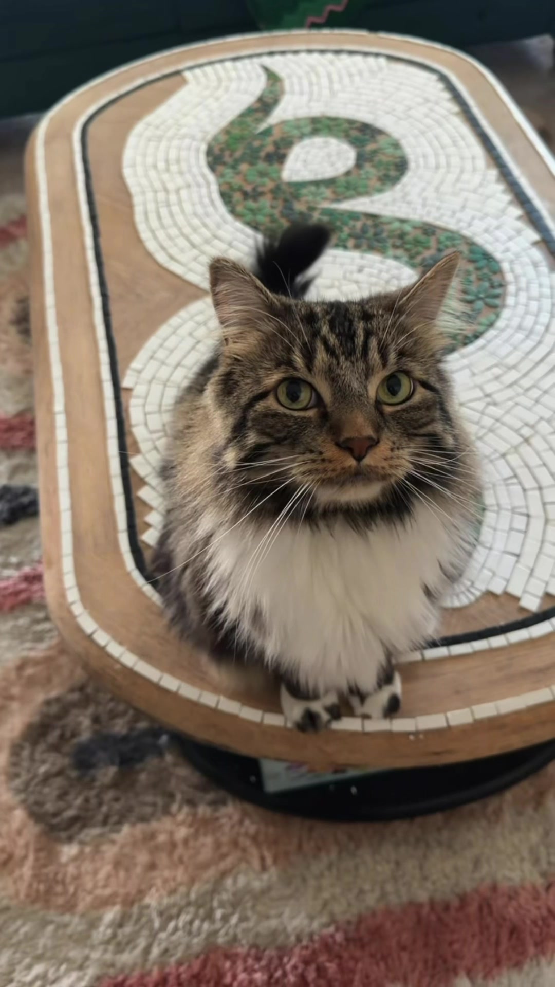 @Teresa crafts 🎨