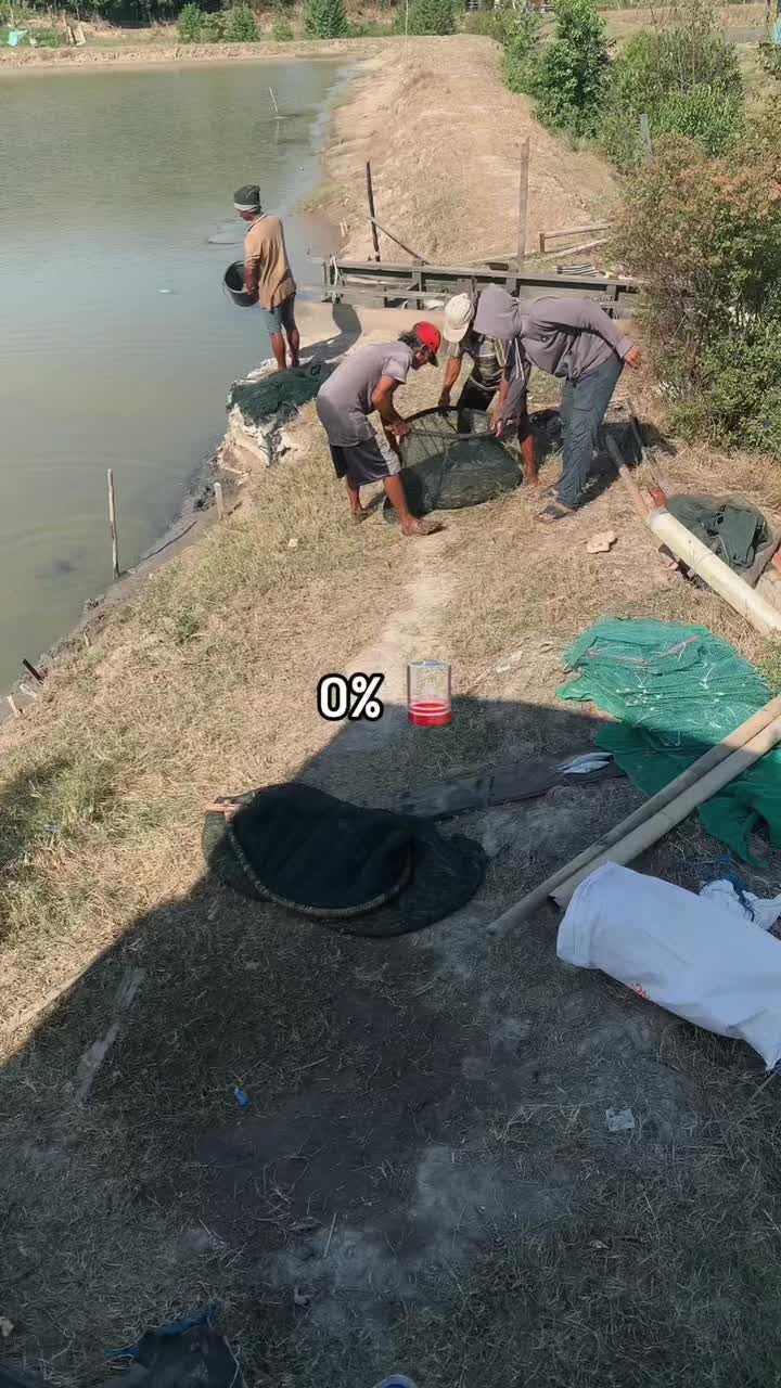 @🏴☠️