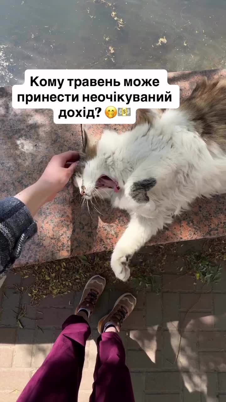 @Yaroslava