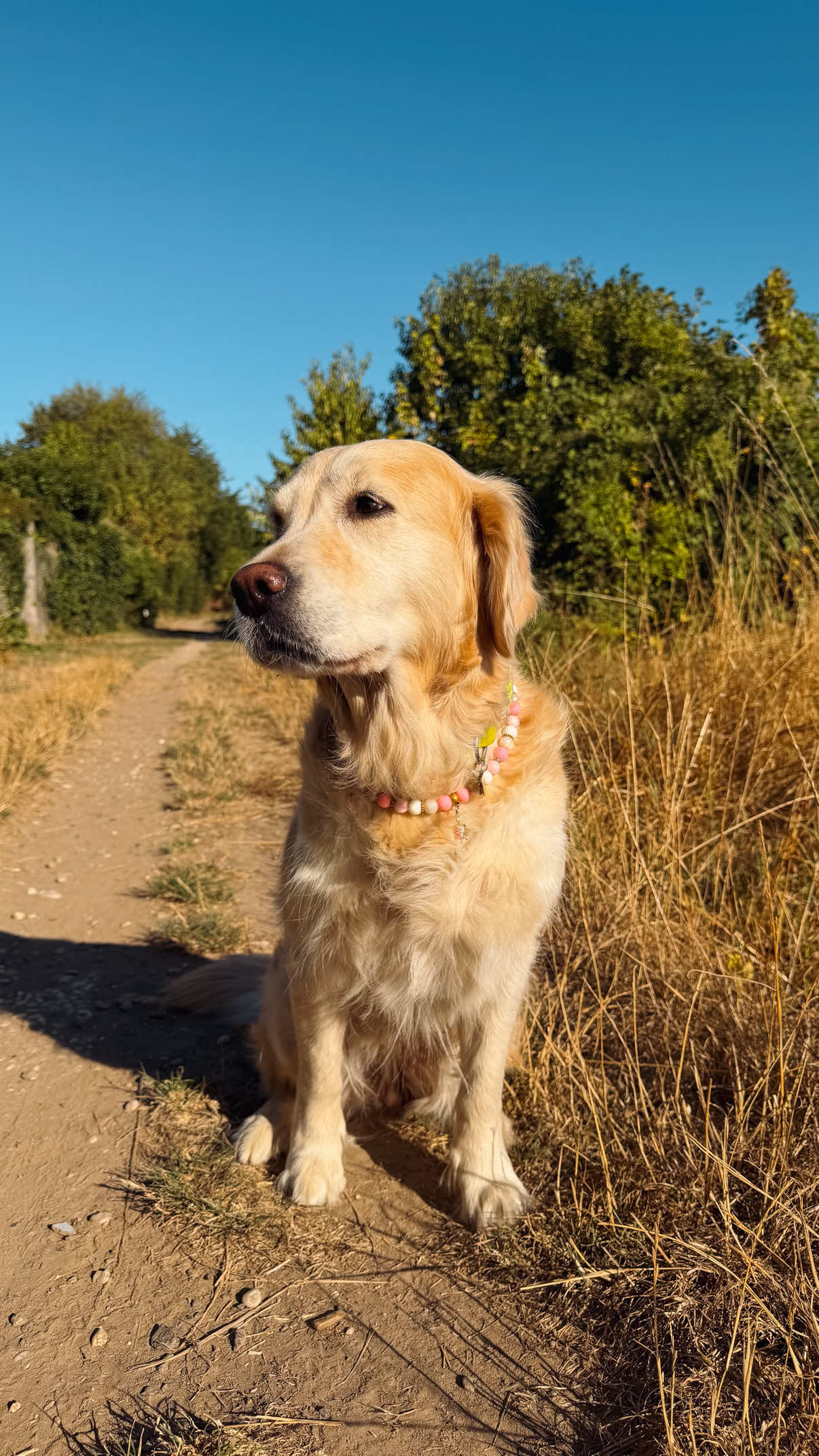 @ioanna.ira🐾