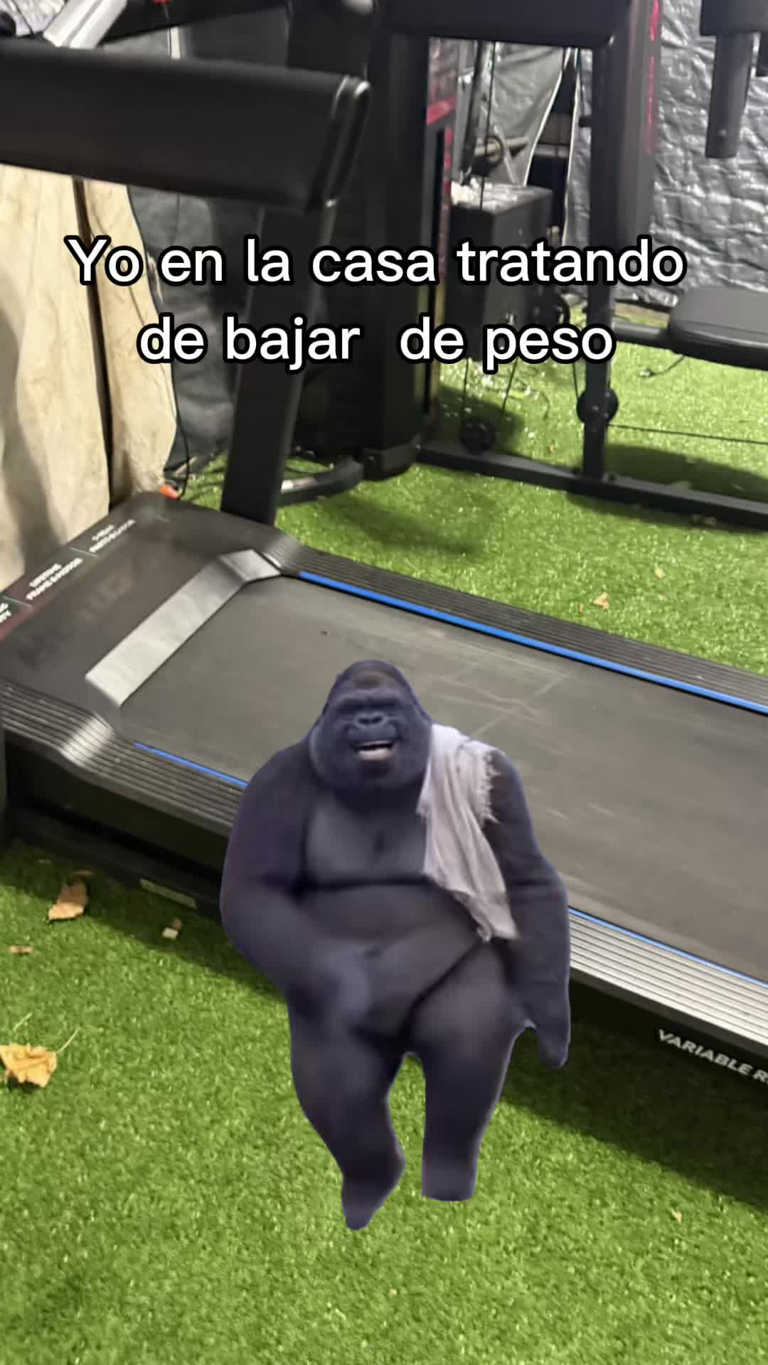 @Chriszh