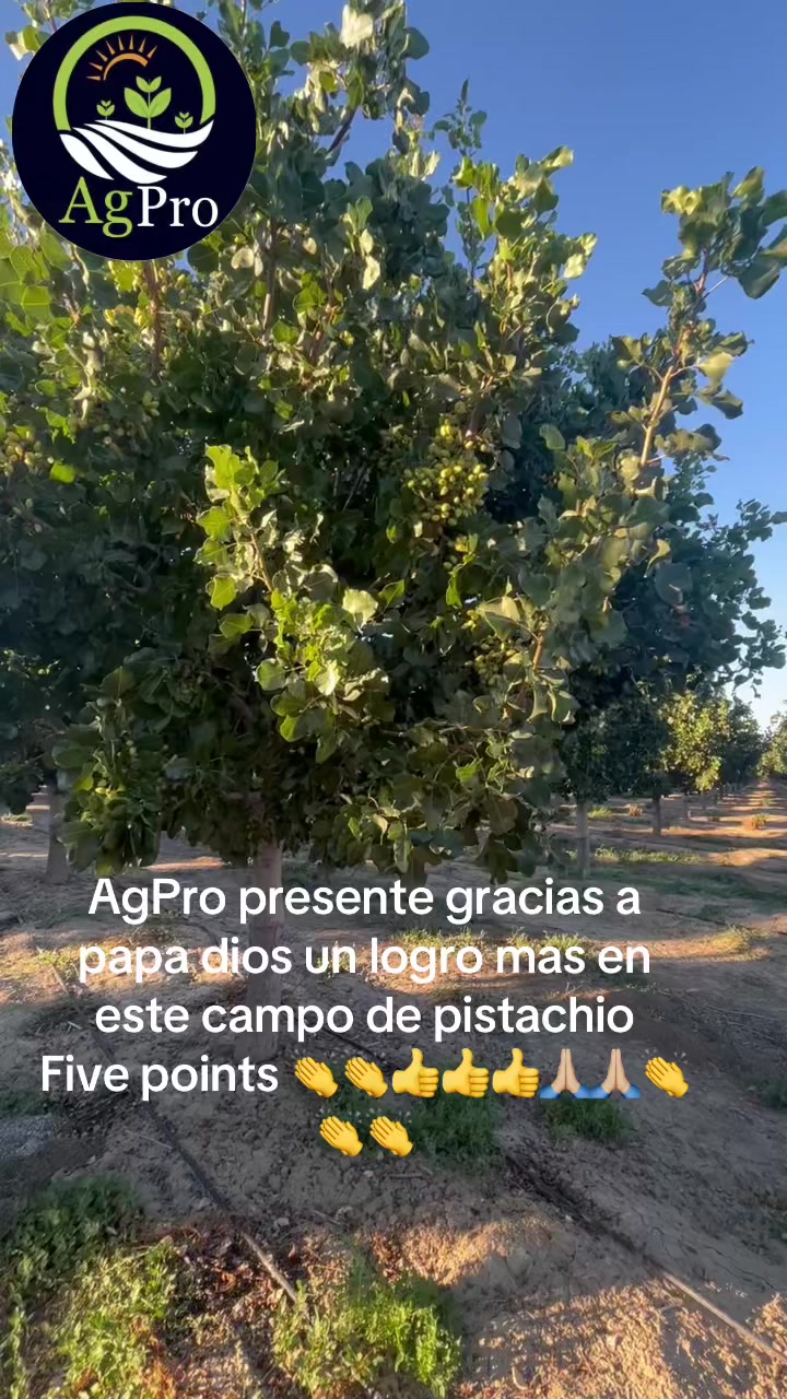 @Piedad Ayala
