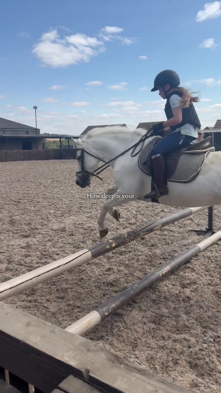 @LottiesHorseAdventures🦄🐴