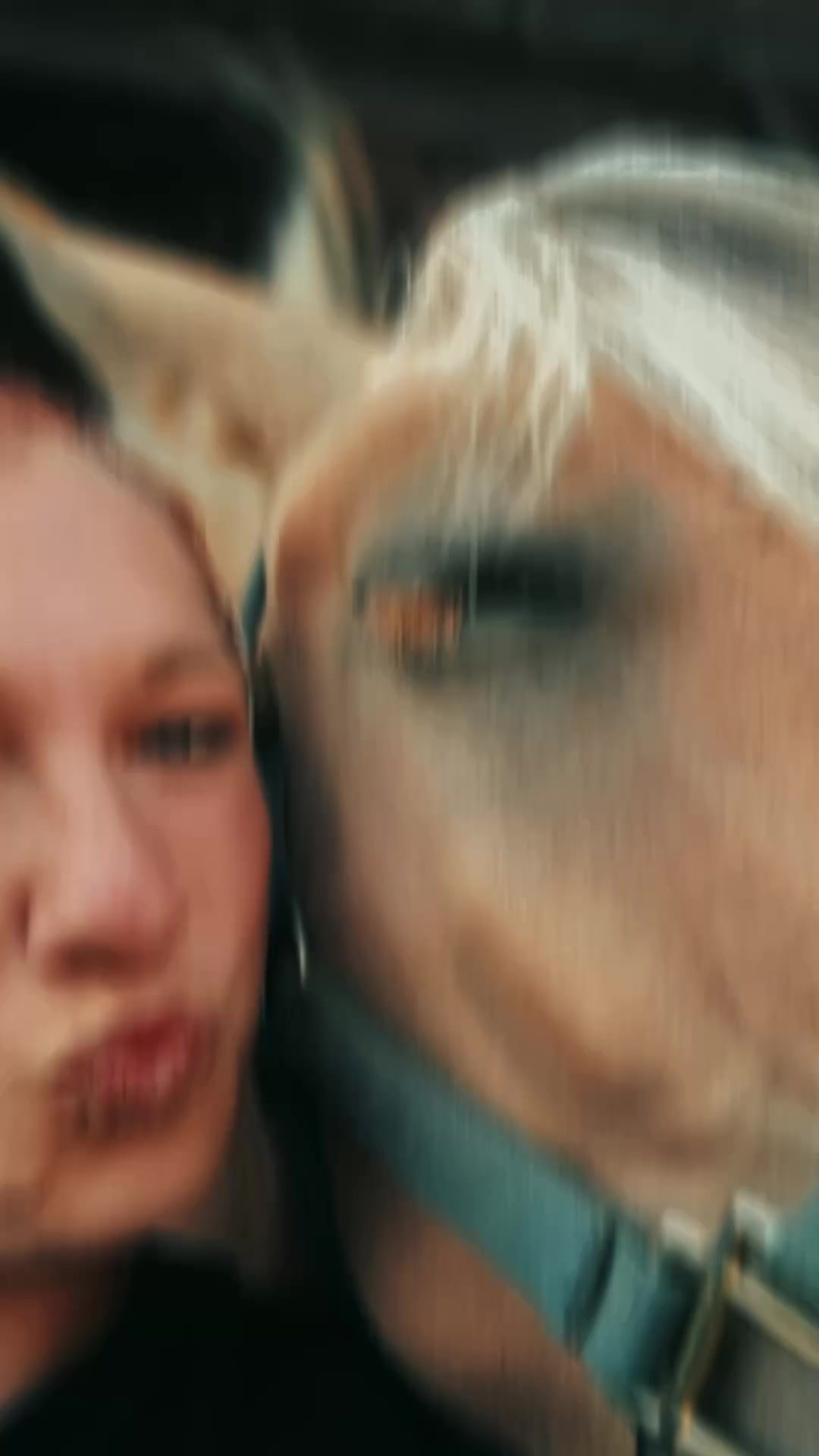 @Elise.blau