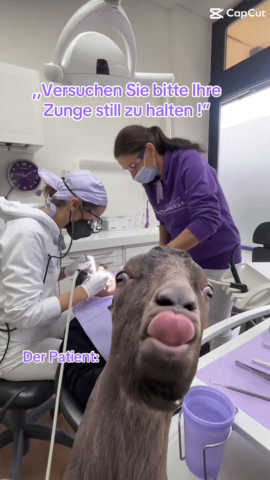 @Dr. Lengdobler