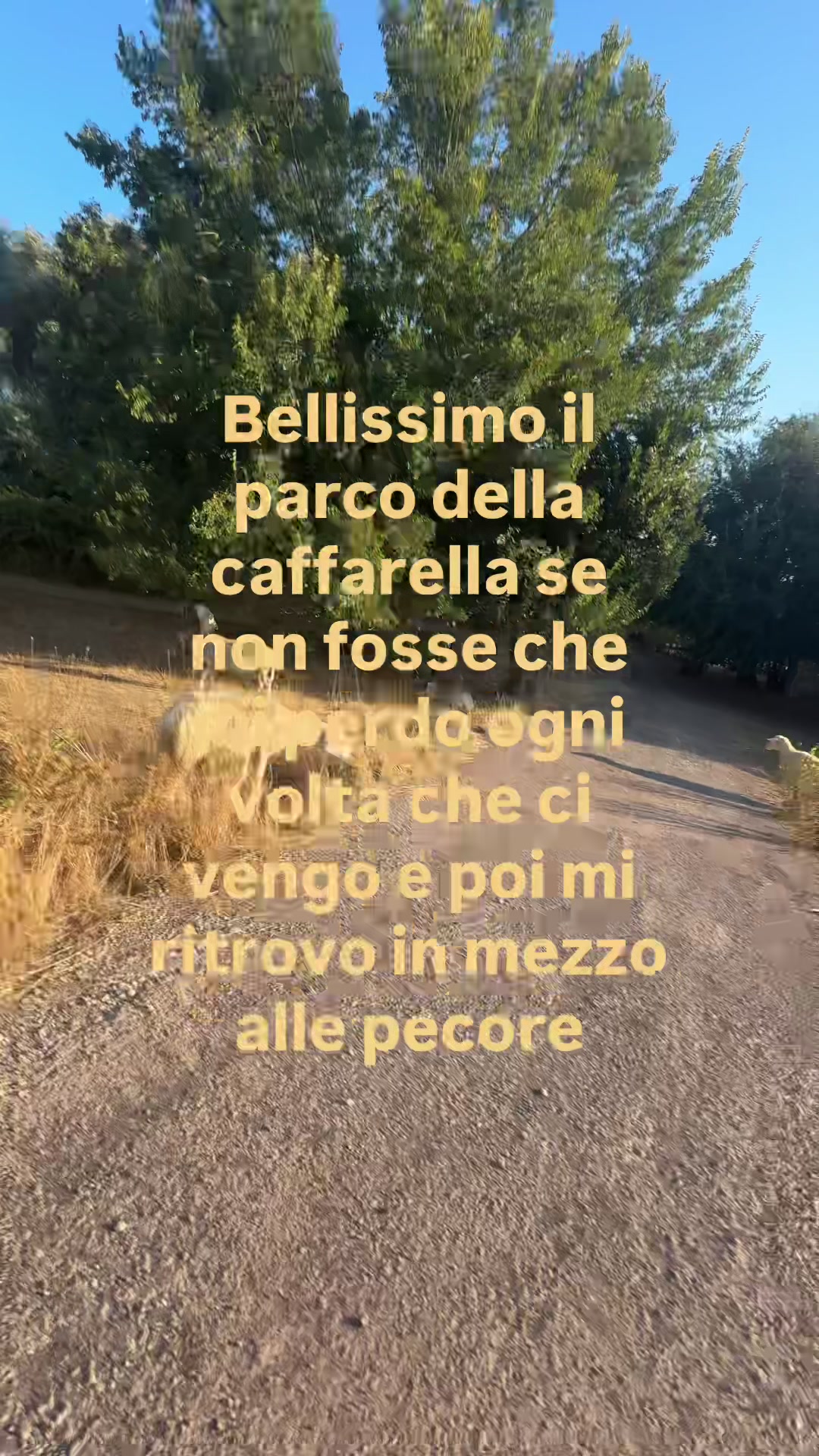 @valentinametoni