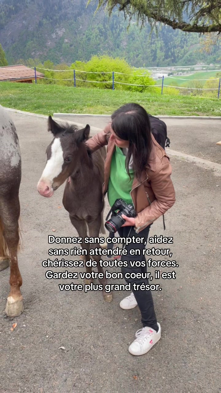 @shoot_equestres