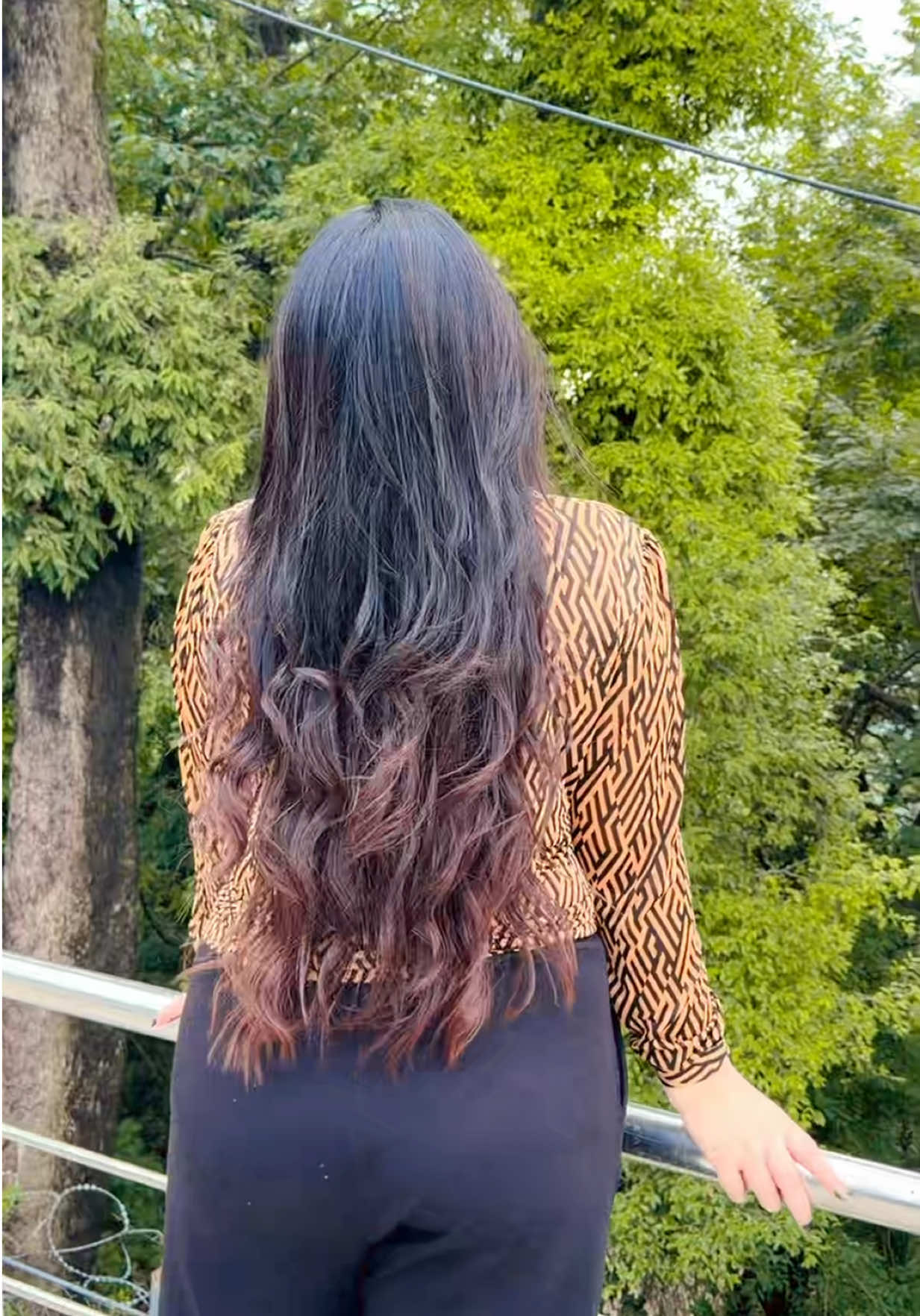 @Ayeshapervez11❤️