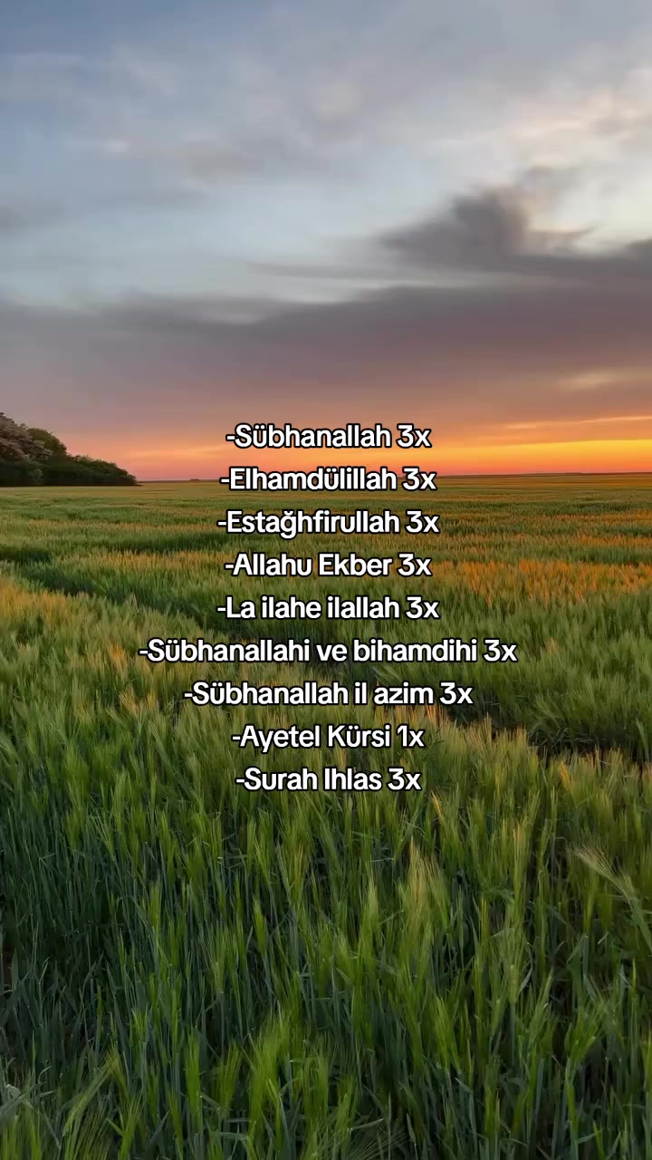 @﷽Mümin🇵🇸