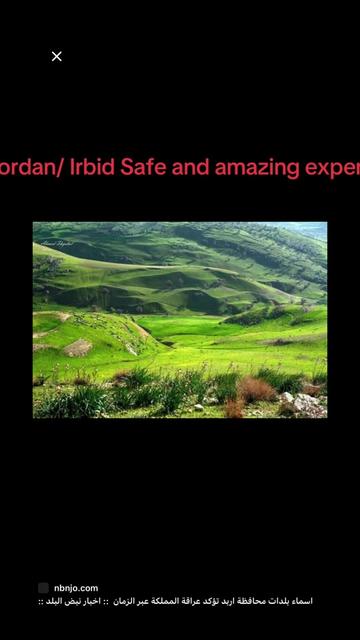 @Riyad Arab News