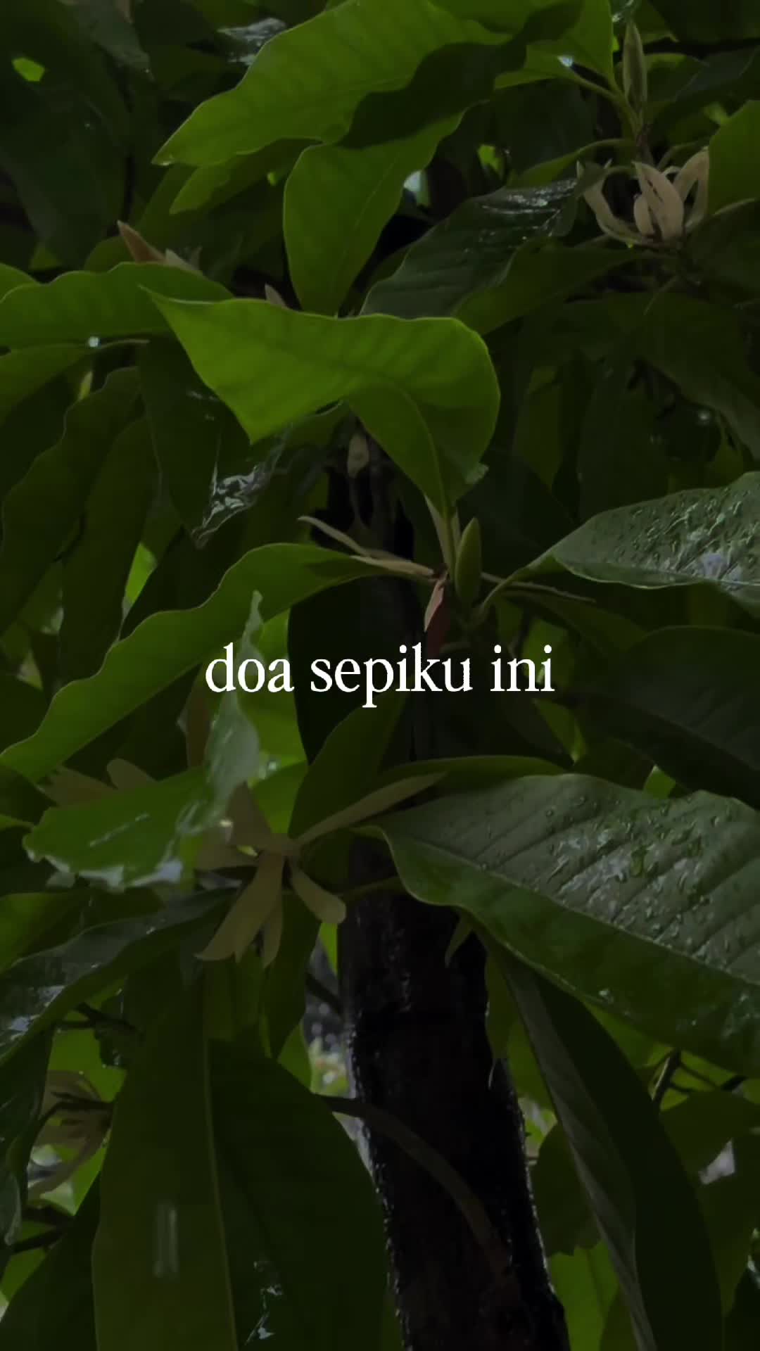 @𝙸𝙹𝙰𝙻ツ