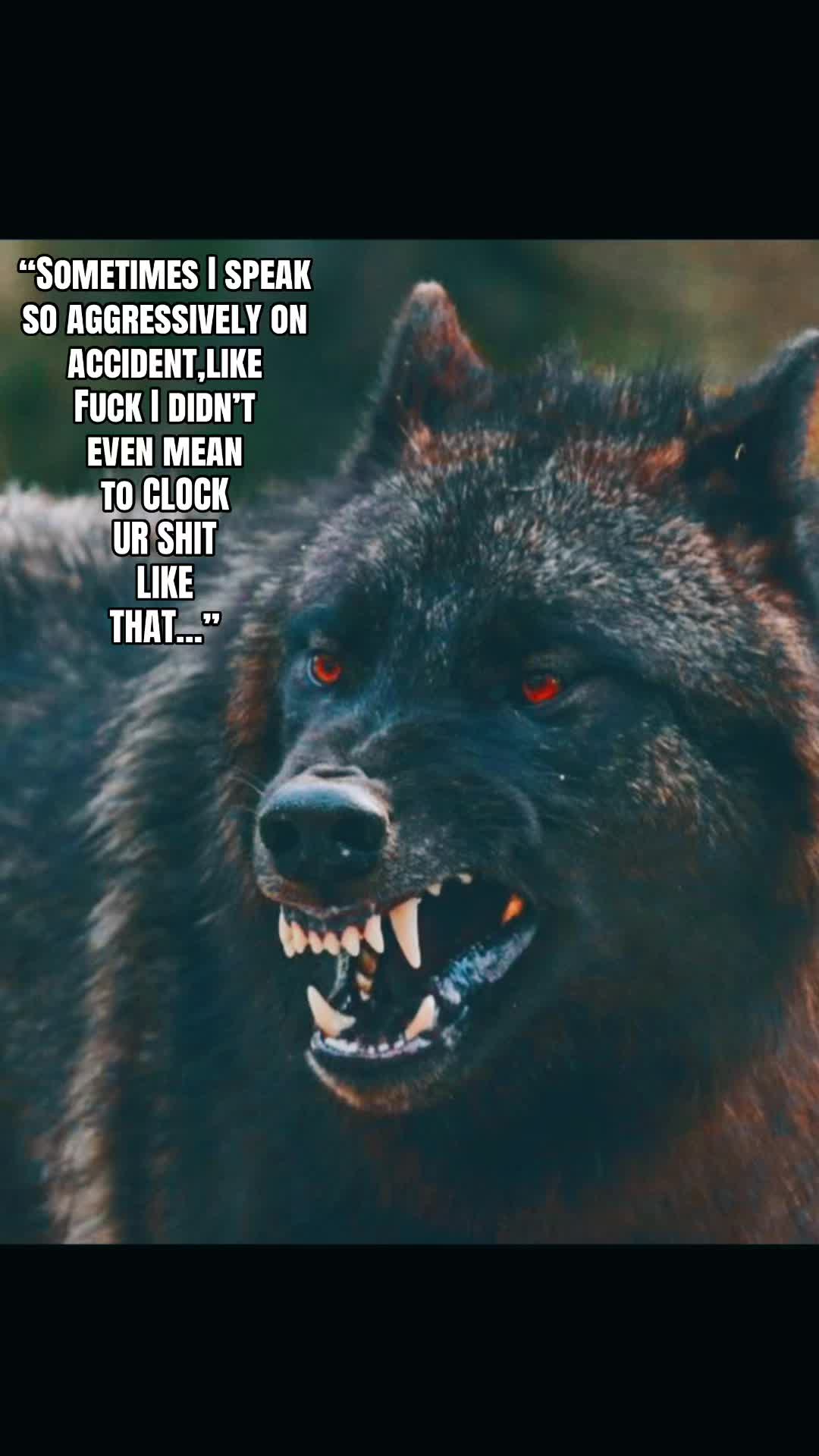@🪬Conscious_LoneWolf🐺