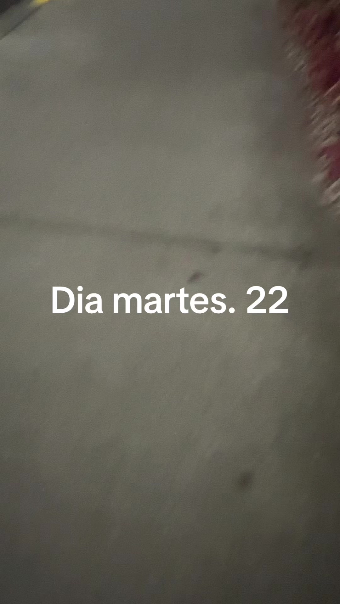 @Virjinia Murga