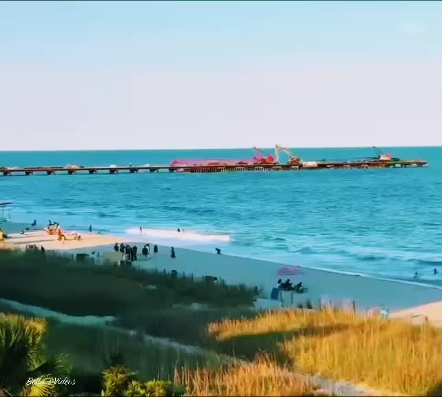 @Bella Laine