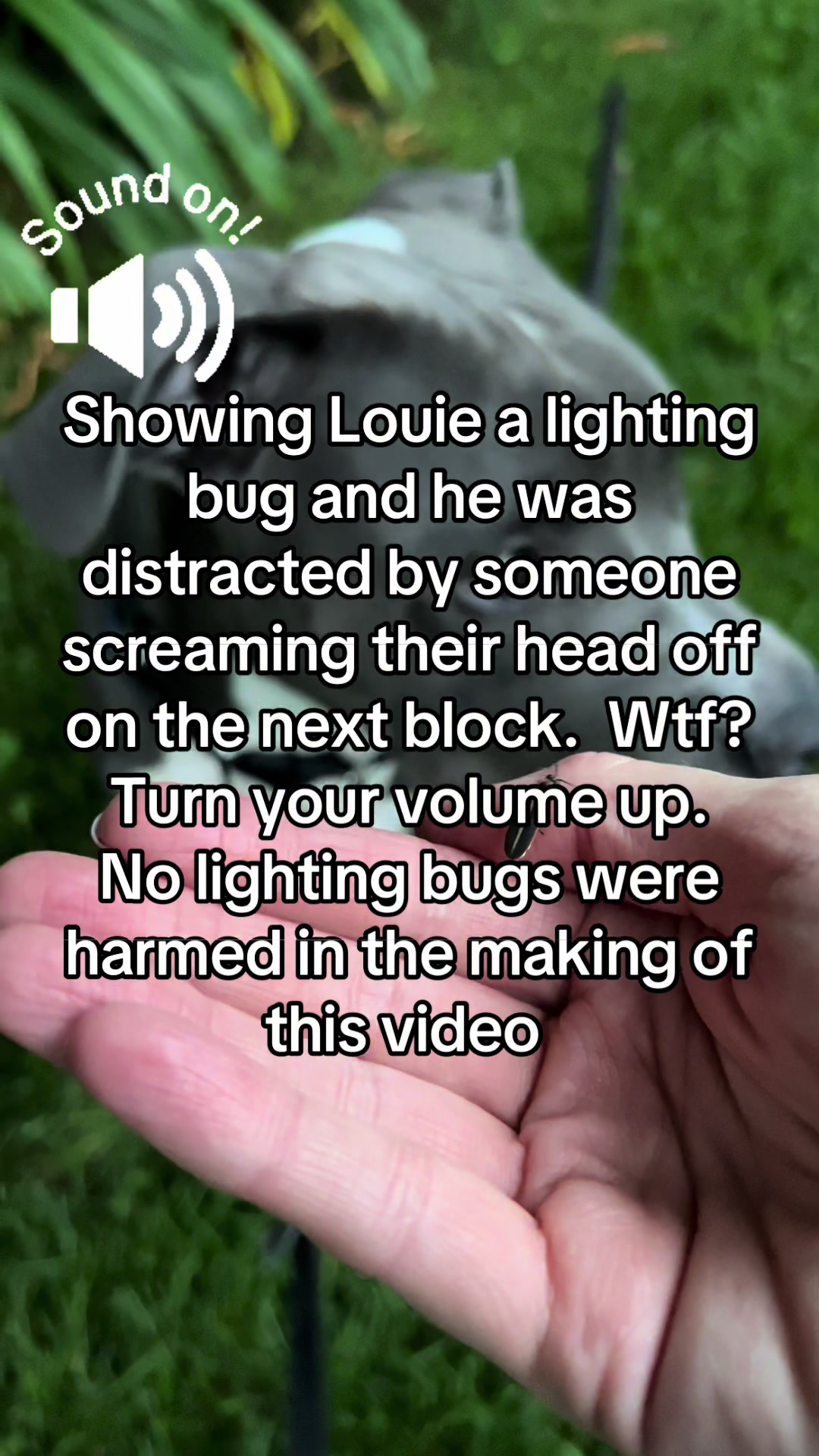 @Pibblingaround