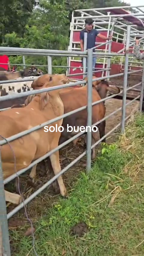@maykel Mej&iacute;a