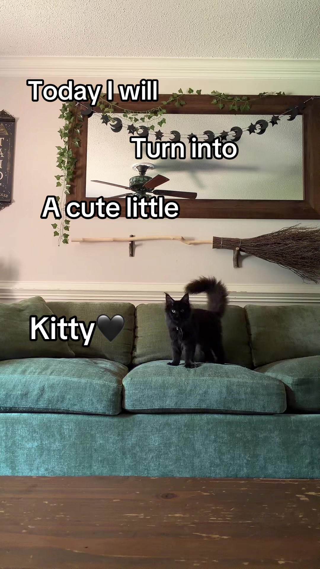 @xok8xo