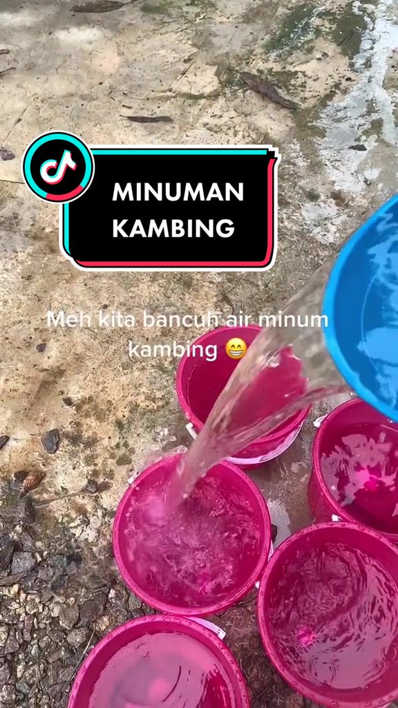 @AB Agrofarm 588