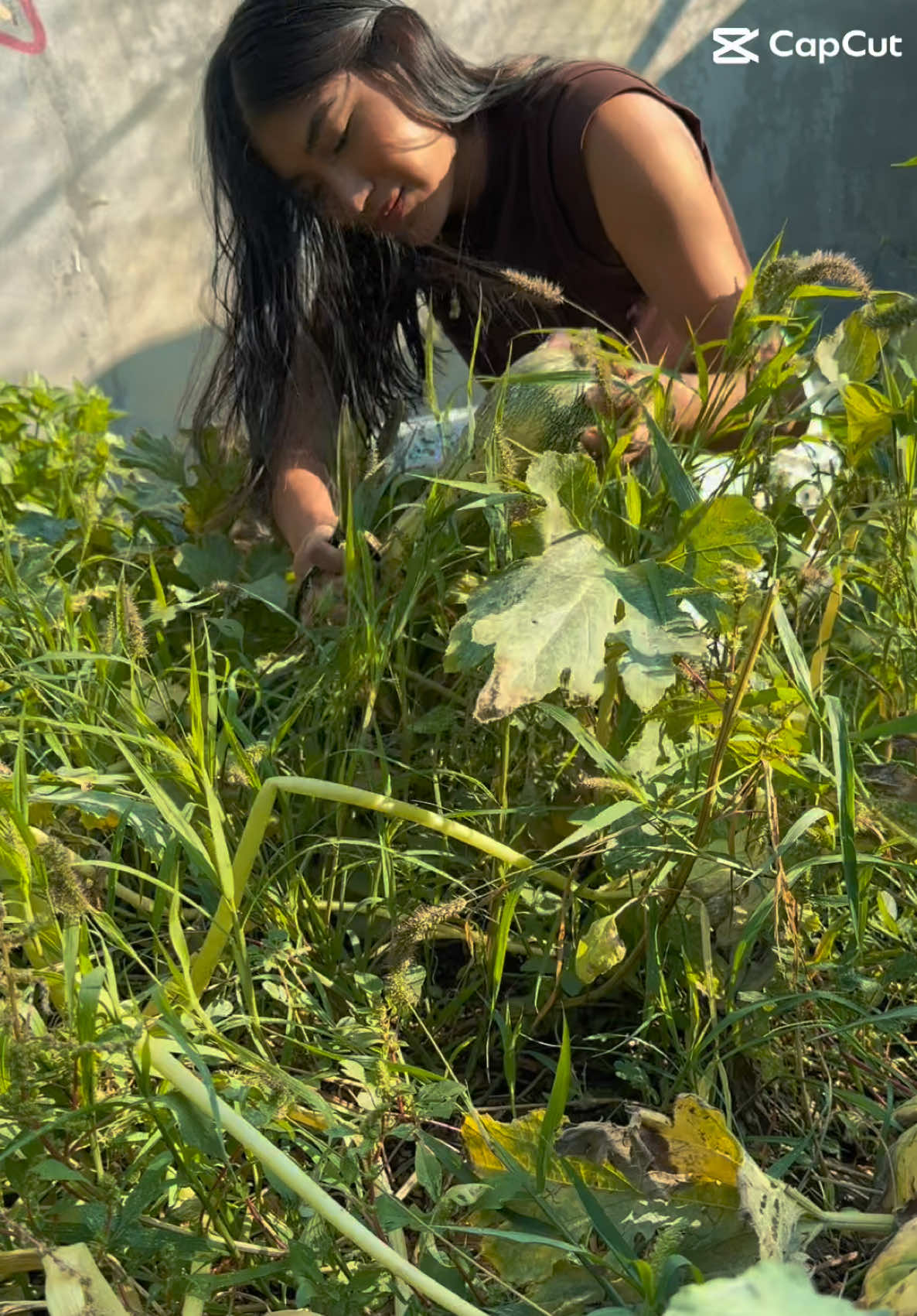 @cultivaconkarla