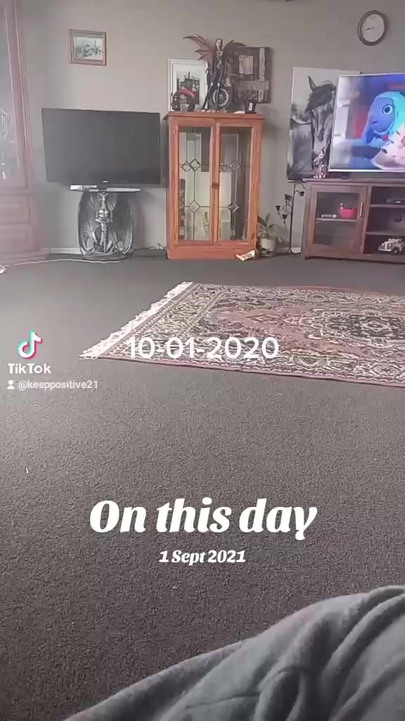 @shellyteddybear1