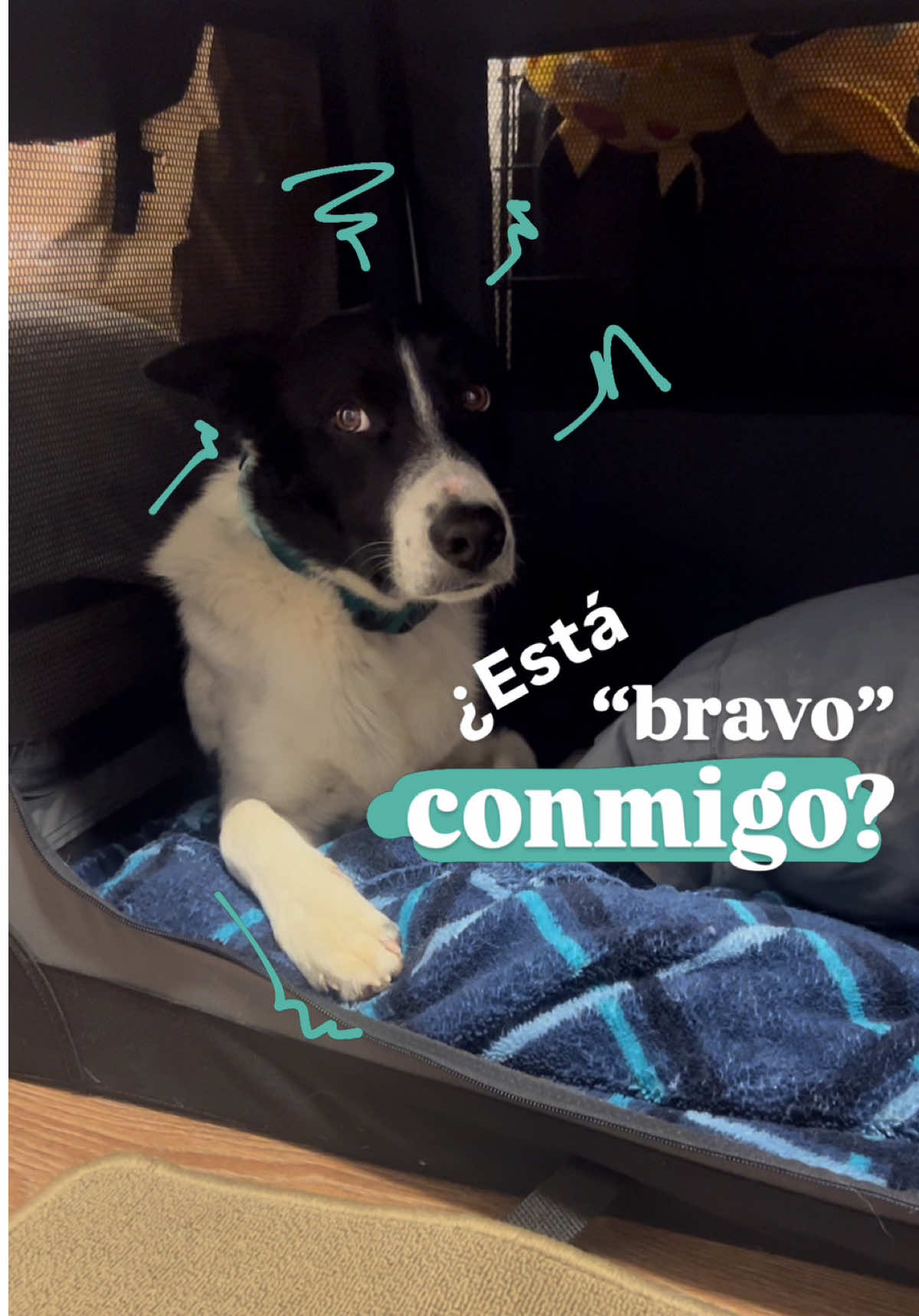 @Somos Guaw educación camina