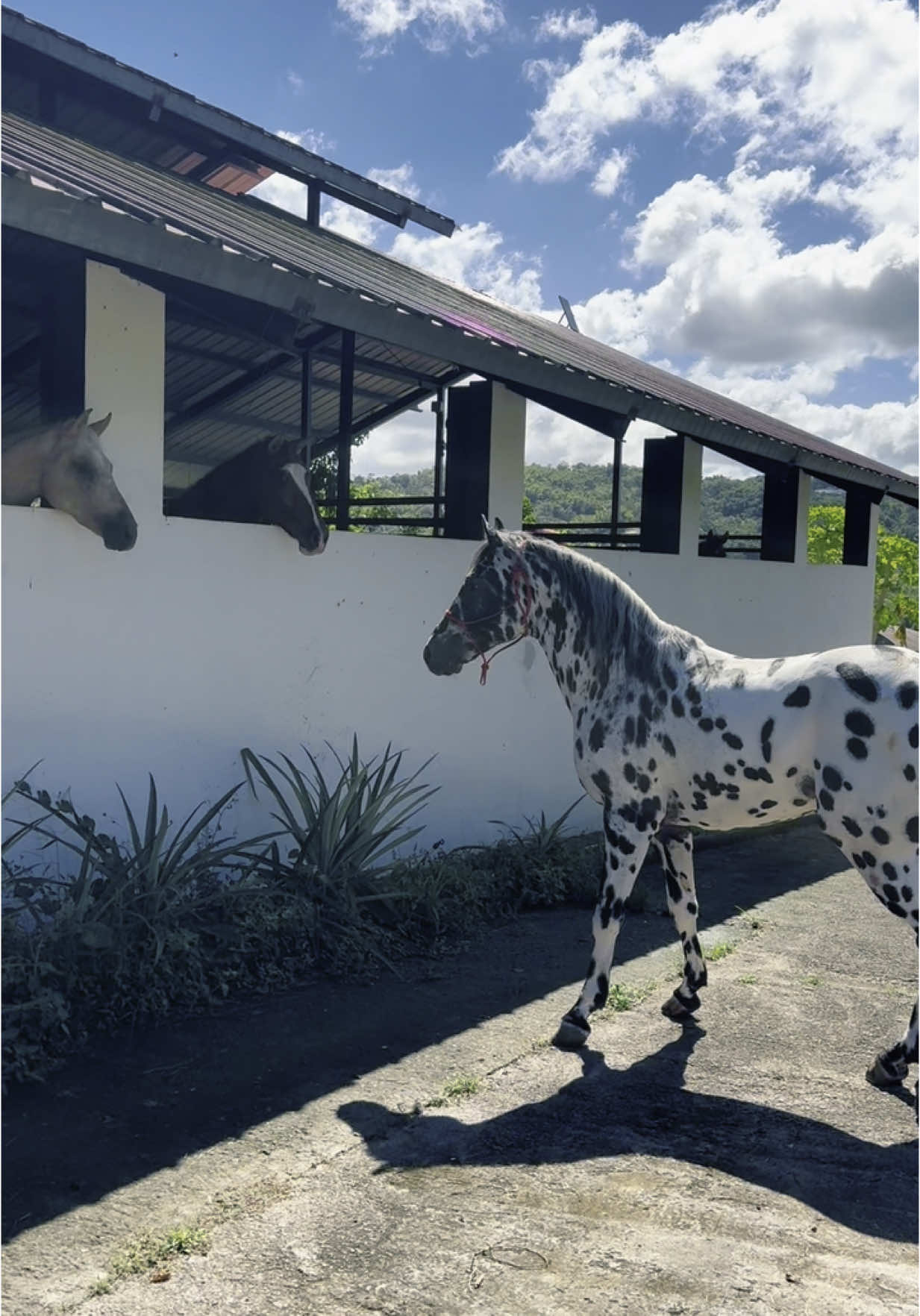 @Hacienda Do&ntilde;a Ana