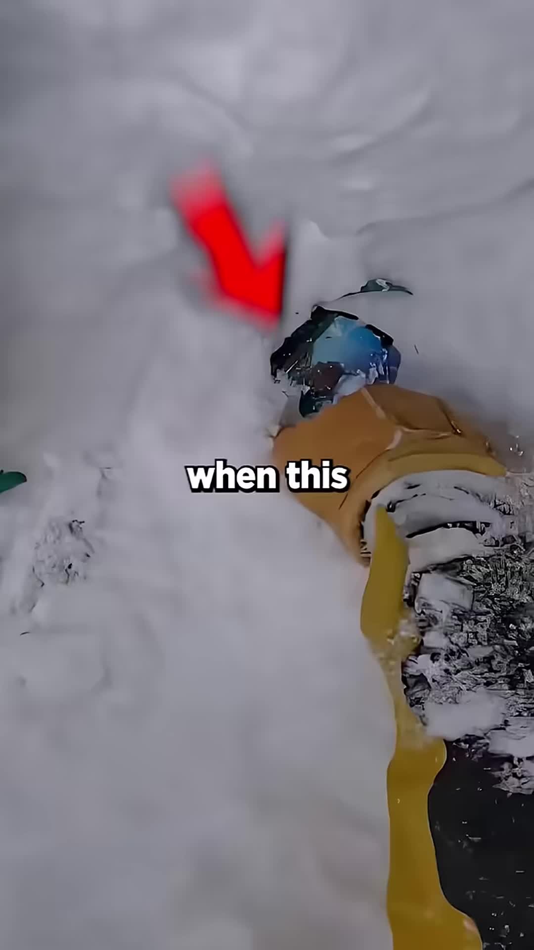 @user78782936093286