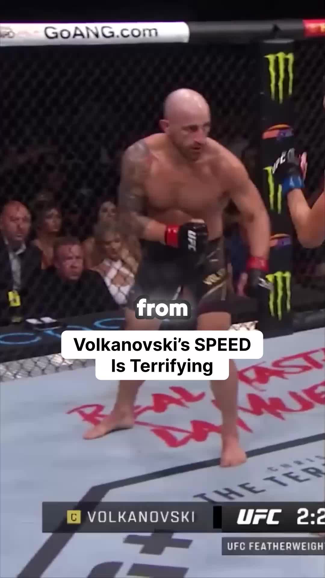 @championsofthesport0