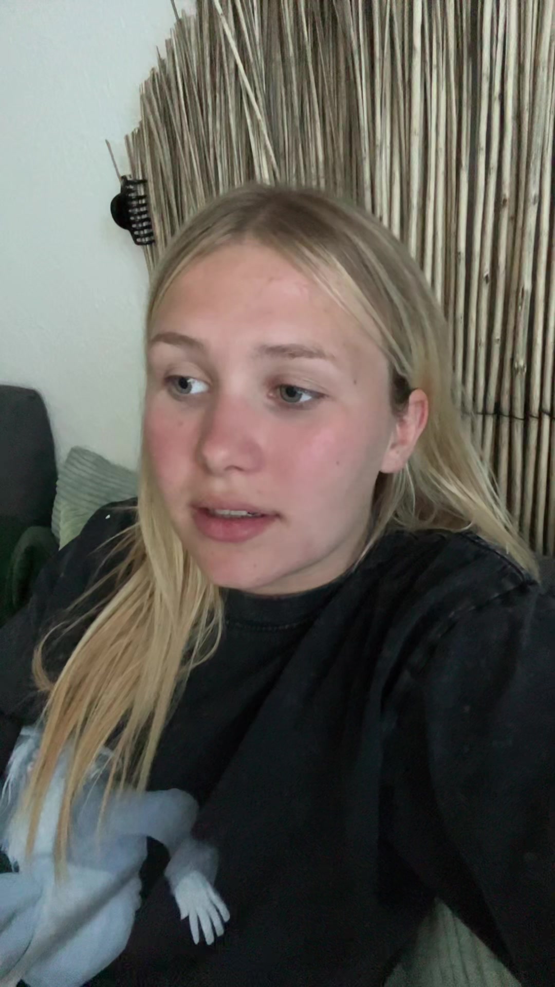 @yolo