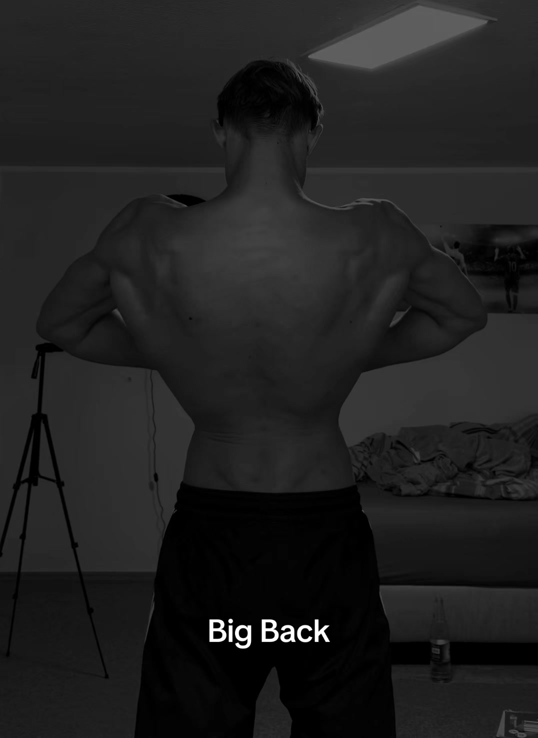 @fabioboffa