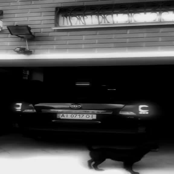 @darginski