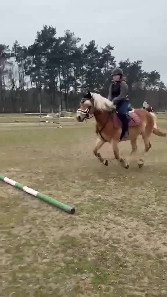 @TA OD KUCYK&Oacute;W🐴🐎