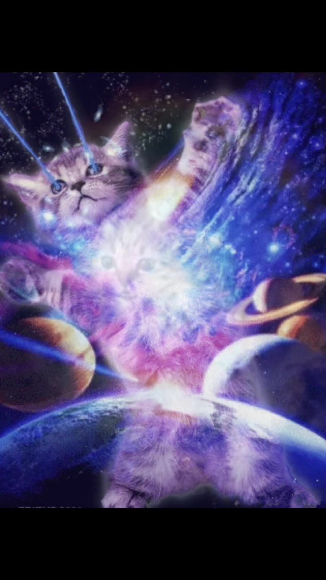 @𝗓𝖾𝗁𝗇𝖾𝗋𝖺𝗎𝖿𝗄𝗈𝗆𝖻𝗂