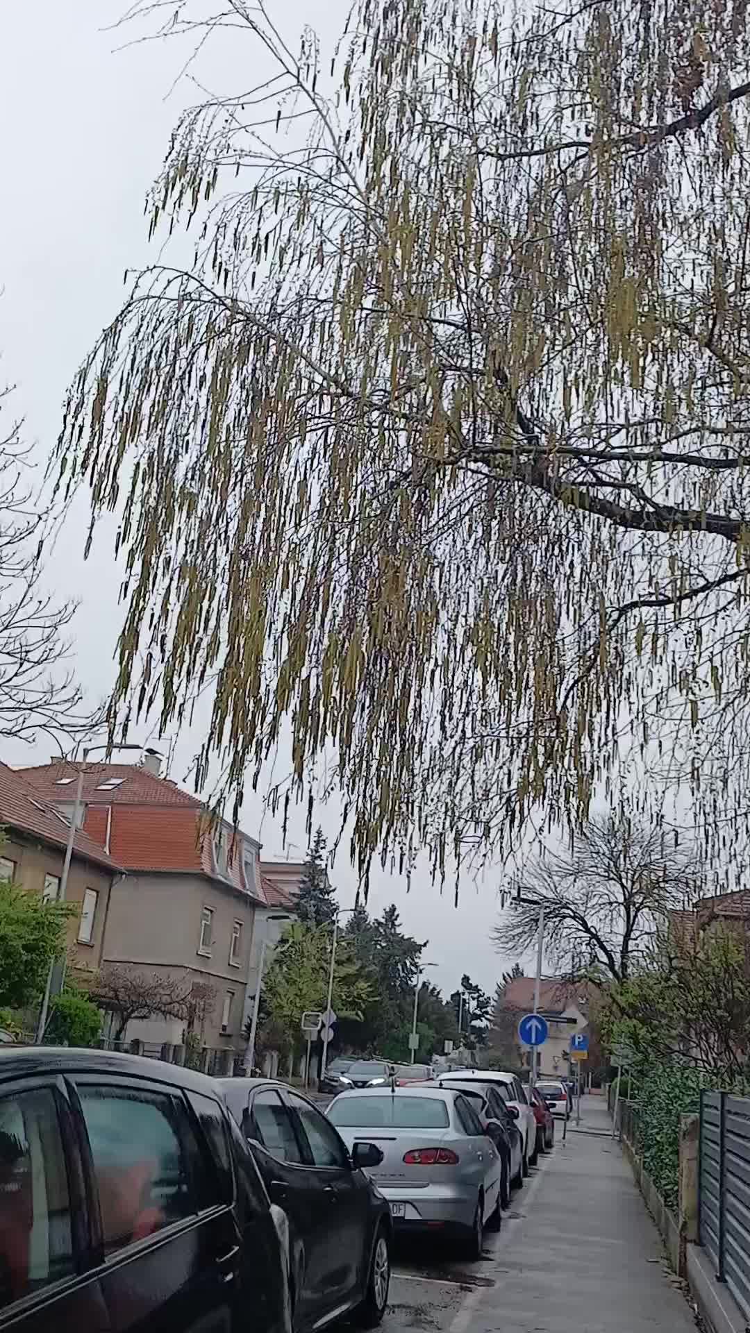 @KikTok