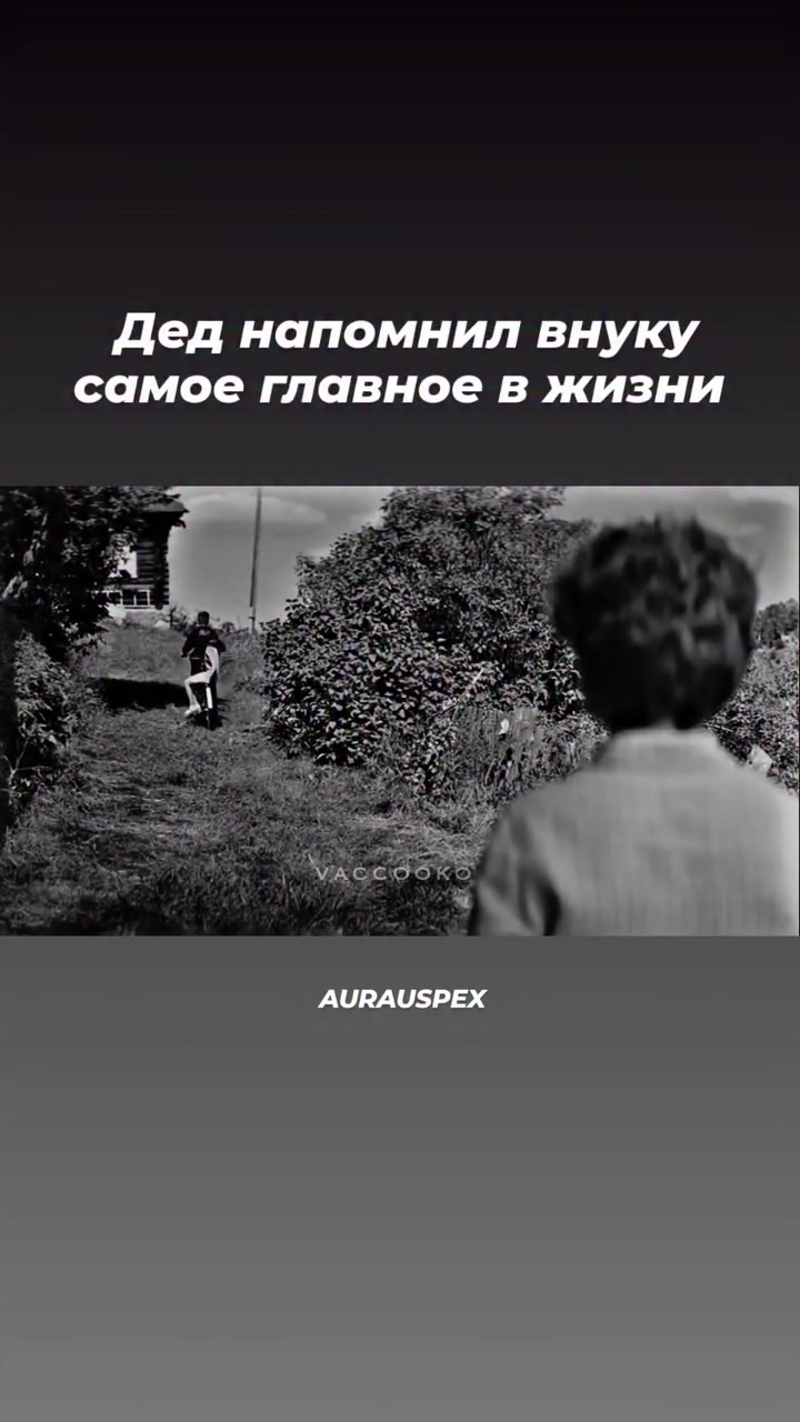 @vlad_ot5