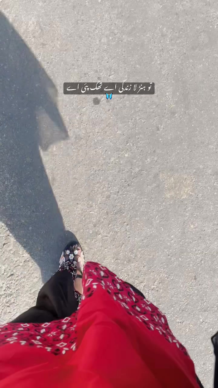 @S:K🦋🌻